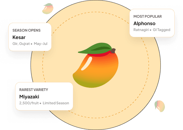 Mango varieties showcase